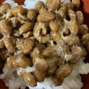 新玉ねぎのスライスと納豆丼